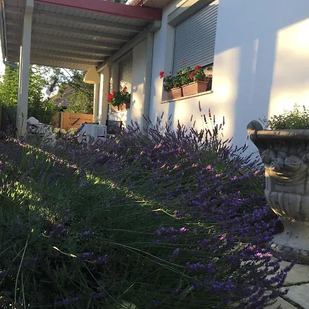 Szelrozsa Apartmanhaz Velence