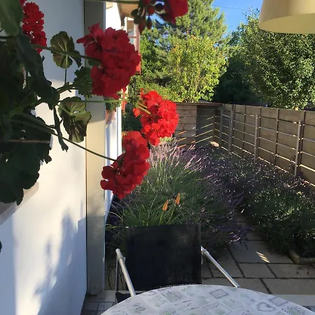 דירה Szelrozsa Apartmanhaz ולנצה