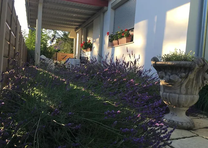 Szelrozsa Apartmanhaz Velence